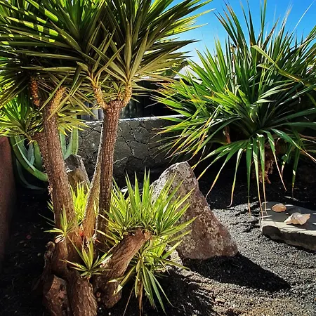 Fashion Armonia, Heated Pool Playa Blanca